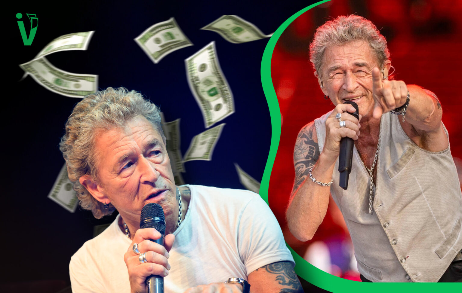 peter maffay vermögen