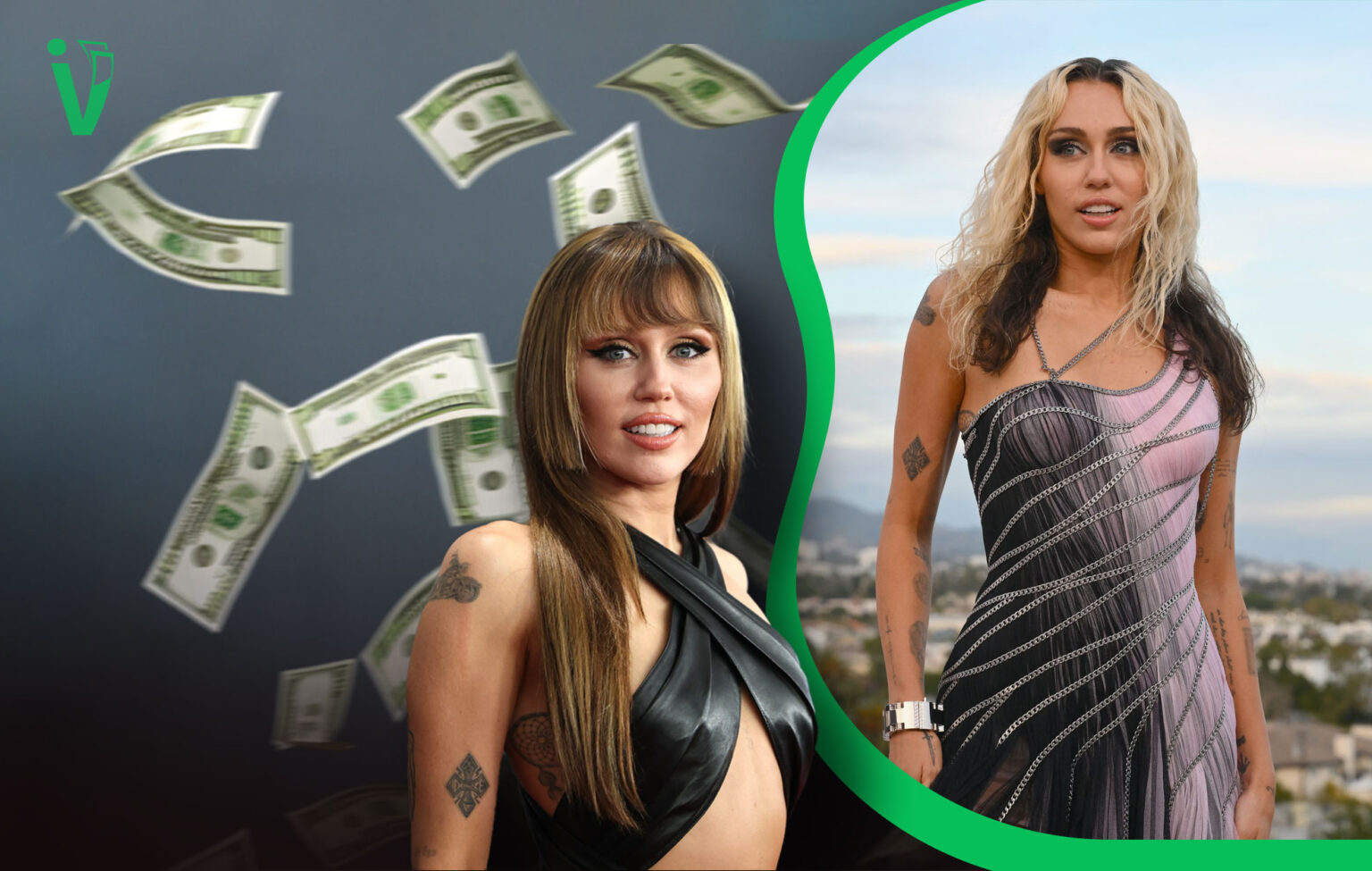 Miley Cyrus Vermögen